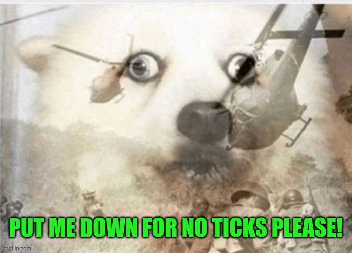 PTSD dog | PUT ME DOWN FOR NO TICKS PLEASE! | image tagged in ptsd dog | made w/ Imgflip meme maker