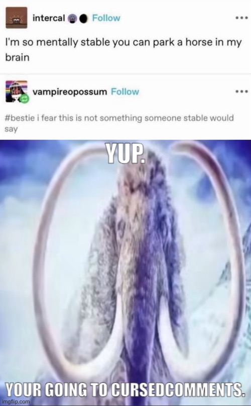 Stable | image tagged in mammoth cursed comments,stable genius,horse,stable | made w/ Imgflip meme maker