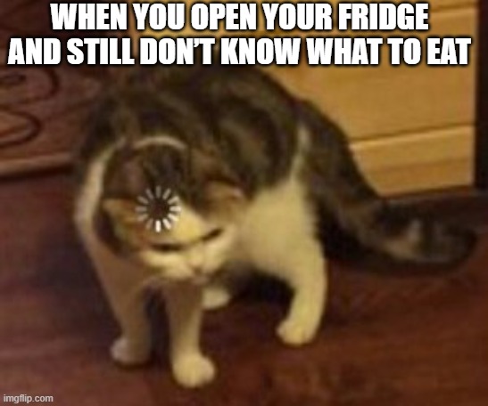 Loading cat | WHEN YOU OPEN YOUR FRIDGE AND STILL DON’T KNOW WHAT TO EAT | image tagged in loading cat | made w/ Imgflip meme maker