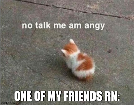 yea | ONE OF MY FRIENDS RN: | image tagged in no talk me am angy | made w/ Imgflip meme maker