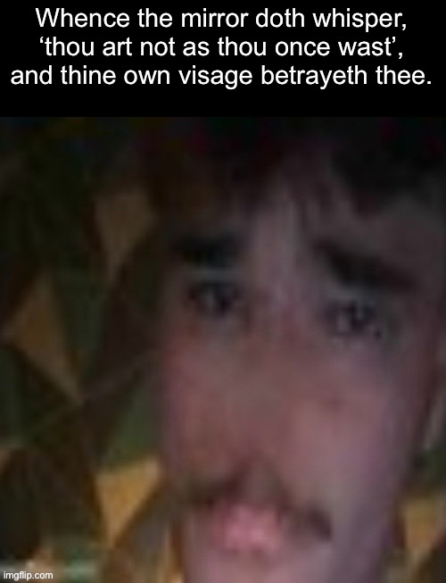 Sname | Whence the mirror doth whisper, ‘thou art not as thou once wast’, and thine own visage betrayeth thee. | image tagged in sname | made w/ Imgflip meme maker