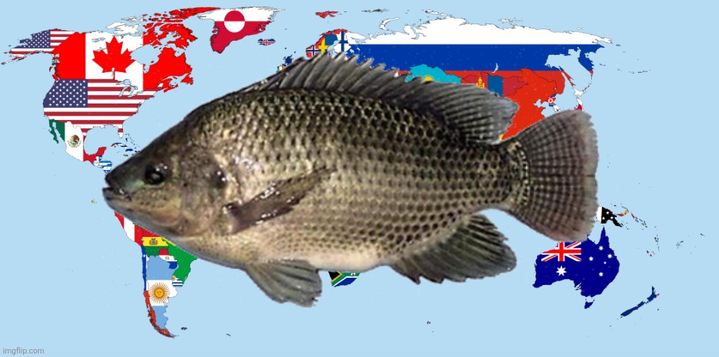 *randomly fisheds the world* | image tagged in map of the world with flags | made w/ Imgflip meme maker