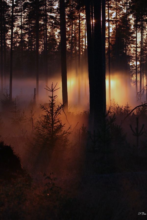 How I feel when summer vacation ends. Blank Meme Template