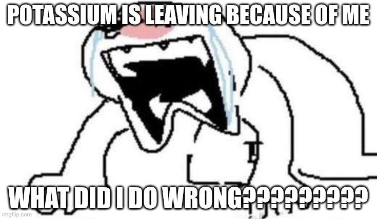 Ugly Crying | POTASSIUM IS LEAVING BECAUSE OF ME; WHAT DID I DO WRONG????????? | image tagged in ugly crying | made w/ Imgflip meme maker