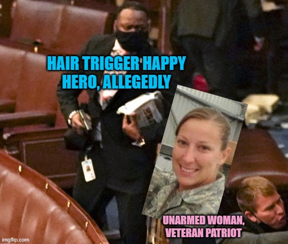 Lt. Michael Byrd protecting Congress 1/6 | HAIR TRIGGER HAPPY
HERO, ALLEGEDLY UNARMED WOMAN,
VETERAN PATRIOT | image tagged in lt michael byrd protecting congress 1/6 | made w/ Imgflip meme maker