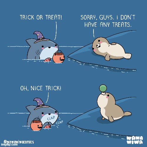 image tagged in shark,fish,halloween,trick or treat,trick,ball | made w/ Imgflip meme maker