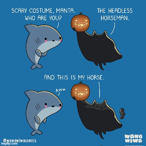 Wawawiwa's Sea Creatures celebrate Halloween! | image tagged in shark,halloween,manta ray,headless horseman,horse,seahorse | made w/ Imgflip meme maker
