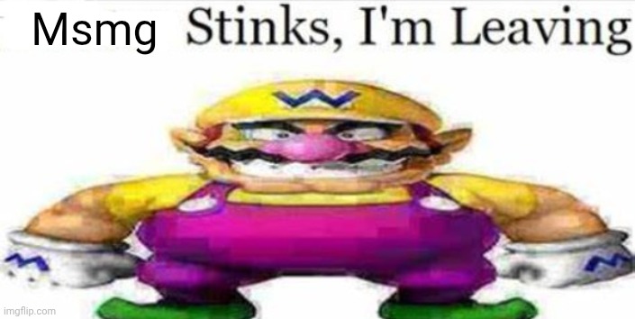 Twitter stinks im leaving blank | Msmg | image tagged in twitter stinks im leaving blank | made w/ Imgflip meme maker