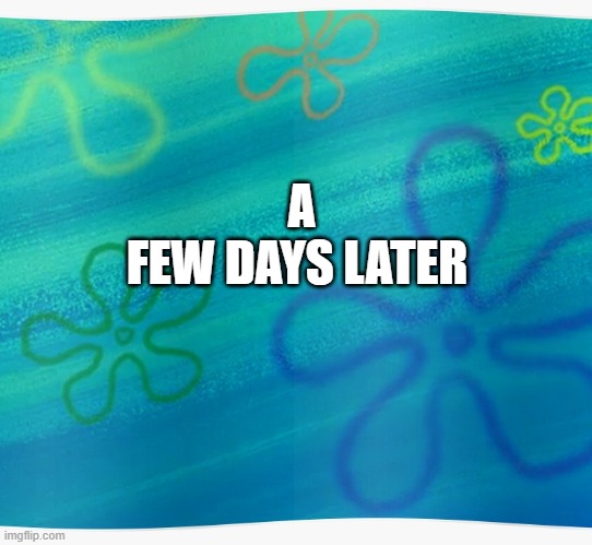 Spongebob years later meme | A FEW DAYS LATER | image tagged in spongebob years later meme | made w/ Imgflip meme maker