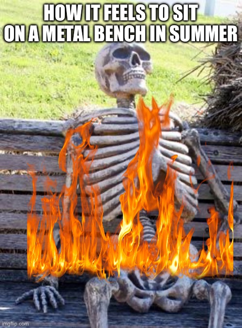 Waiting Skeleton Meme | HOW IT FEELS TO SIT ON A METAL BENCH IN SUMMER | image tagged in memes,waiting skeleton | made w/ Imgflip meme maker