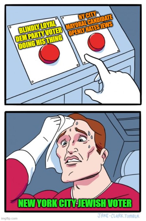 Polling indicates that a little over 30% of NY City Jewish voters are supporting Zohran Mamdani. | NY CITY MAYORAL CANDIDATE OPENLY HATES JEWS; BLINDLY LOYAL DEM PARTY VOTER DOING HIS THING; NEW YORK CITY JEWISH VOTER | image tagged in press button hard choice | made w/ Imgflip meme maker