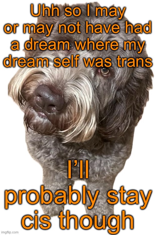 What makes ts weird is that during the dream I was convinced to be trans but when I woke up I was convinced to be cis | Uhh so I may or may not have had a dream where my dream self was trans; I’ll probably stay cis though | image tagged in norther's dog | made w/ Imgflip meme maker