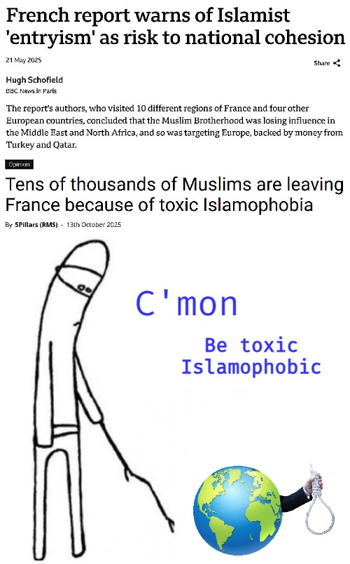 Resistance to religious fascism rises. though extremely late | C'mon; Be toxic Islamophobic | image tagged in islam,europe,france | made w/ Imgflip meme maker