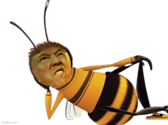 Donald bee Trump | image tagged in donald bee trump | made w/ Imgflip meme maker