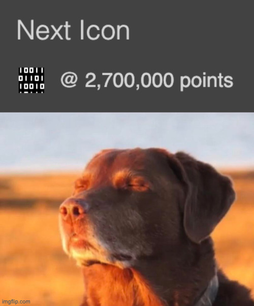 image tagged in dog accepting fate | made w/ Imgflip meme maker