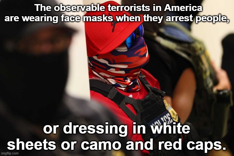 MAGA Terrorist tactics | The observable terrorists in America are wearing face masks when they arrest people, or dressing in white sheets or camo and red caps. | image tagged in maga,nevertrump,antifa,basket of deplorables,fascists,right wing | made w/ Imgflip meme maker
