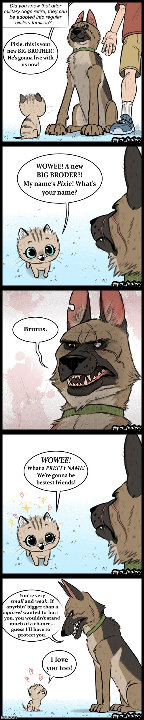 A thread of comics from Pixie & Brutus, an iconic, legendary webcomic series by Ben Hed AKA Pet Foolery! | image tagged in cat,dog,military,military dog,brother,big brother | made w/ Imgflip meme maker