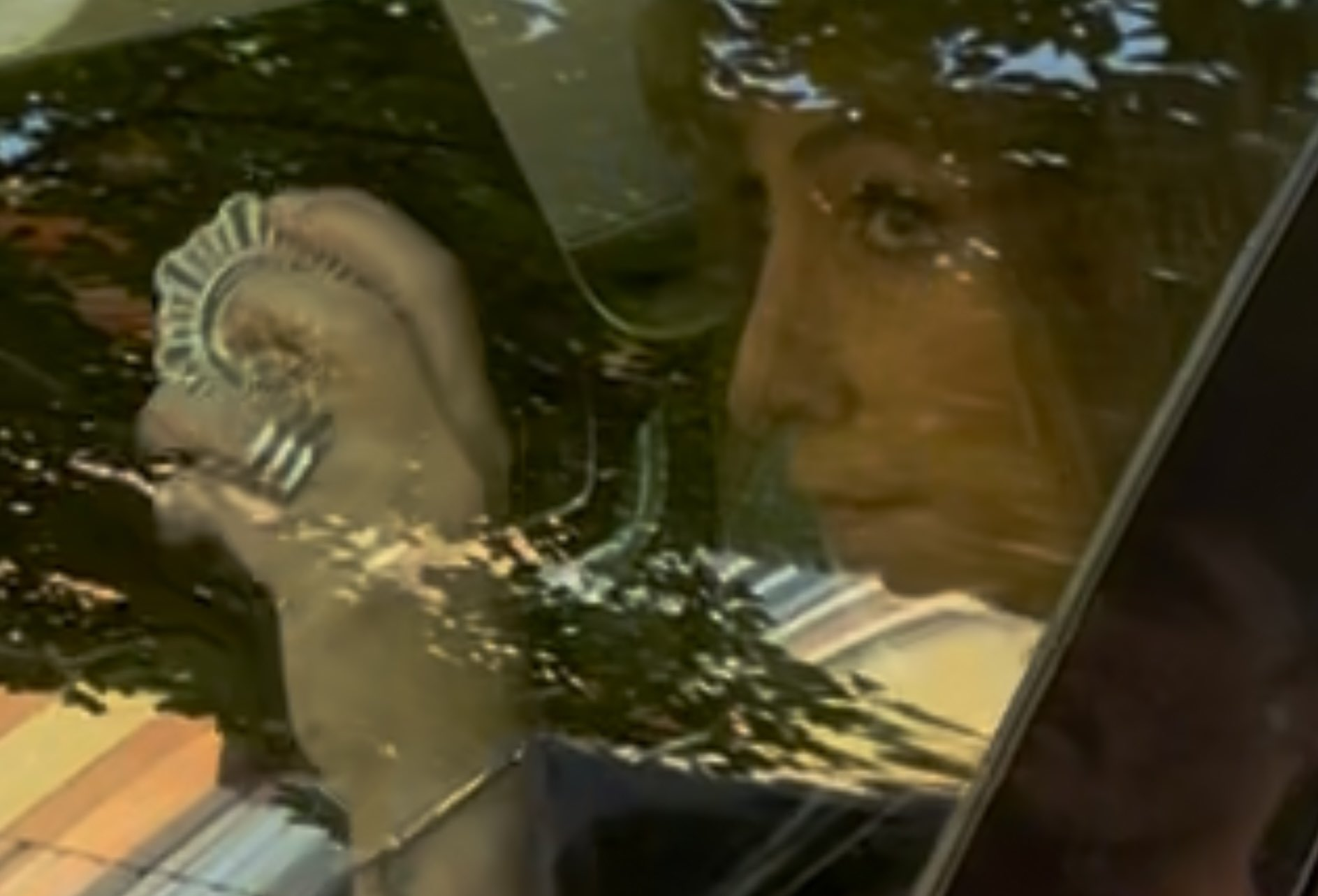 Ana Pardo de Vera Posada Blank Meme Template