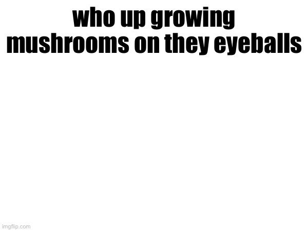 who up growing mushrooms on they eyeballs | made w/ Imgflip meme maker