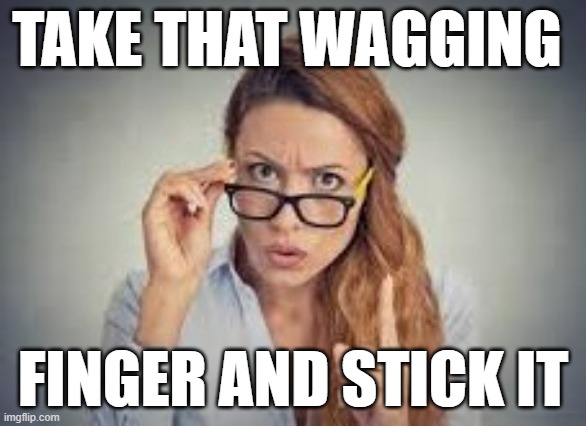 Wag | TAKE THAT WAGGING; FINGER AND STICK IT | image tagged in wagging finger | made w/ Imgflip meme maker