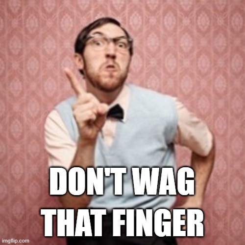 Wagging | DON'T WAG; THAT FINGER | image tagged in wag finger | made w/ Imgflip meme maker