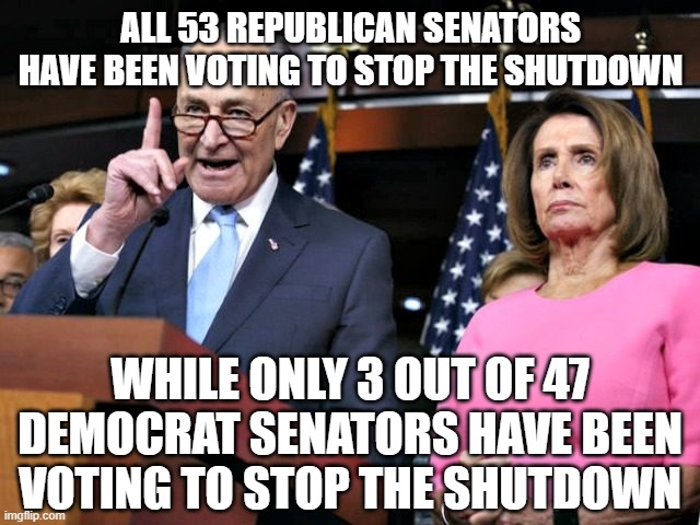 pelosi schumer | ALL 53 REPUBLICAN SENATORS HAVE BEEN VOTING TO STOP THE SHUTDOWN; WHILE ONLY 3 OUT OF 47 DEMOCRAT SENATORS HAVE BEEN VOTING TO STOP THE SHUTDOWN | image tagged in pelosi schumer | made w/ Imgflip meme maker