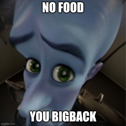 idk | NO FOOD; YOU BIGBACK | image tagged in megamind peeking | made w/ Imgflip meme maker