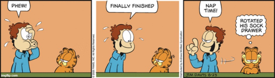 Garfield | image tagged in comics | made w/ Imgflip meme maker