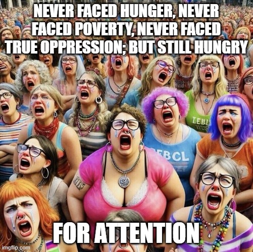Woke White Liberal Women | NEVER FACED HUNGER, NEVER FACED POVERTY, NEVER FACED TRUE OPPRESSION; BUT STILL HUNGRY; FOR ATTENTION | image tagged in woke white liberal women | made w/ Imgflip meme maker