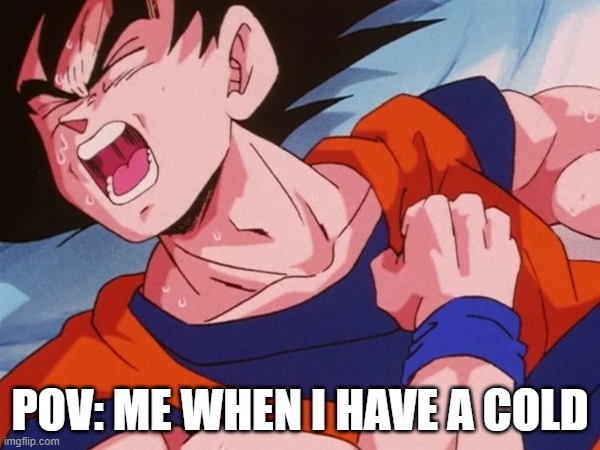 Me when I have a cold | POV: ME WHEN I HAVE A COLD | image tagged in funny memes | made w/ Imgflip meme maker