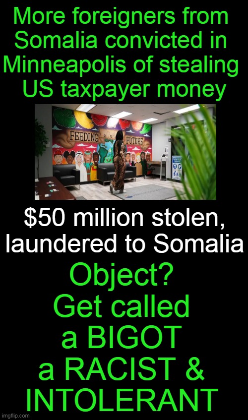 $300 Million 'Feeding Our Future' Meal Fraud Case | More foreigners from 
Somalia convicted in 
Minneapolis of stealing 
US taxpayer money; $50 million stolen, laundered to Somalia; Object?
Get called
a BIGOT
a RACIST &
INTOLERANT | image tagged in crimes,minnesota,leftists,democrats,liberalism,somalian criminals | made w/ Imgflip meme maker