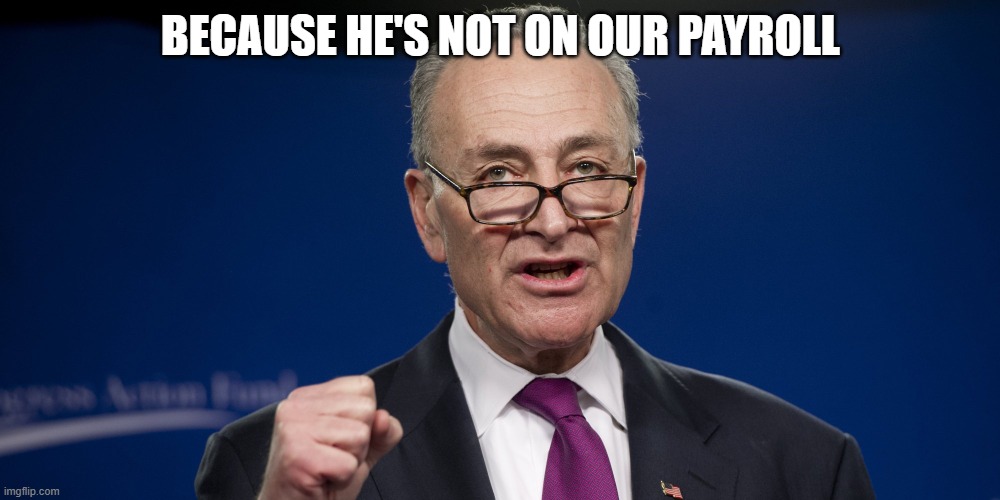 chuck Schumer | BECAUSE HE'S NOT ON OUR PAYROLL | image tagged in chuck schumer | made w/ Imgflip meme maker