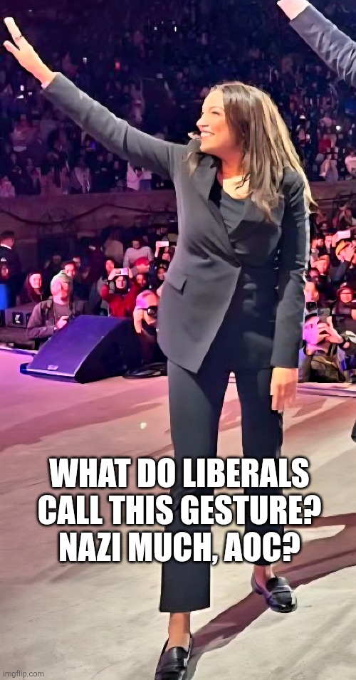 AOC Nazi | WHAT DO LIBERALS CALL THIS GESTURE? NAZI MUCH, AOC? | image tagged in crazy aoc,aoc | made w/ Imgflip meme maker