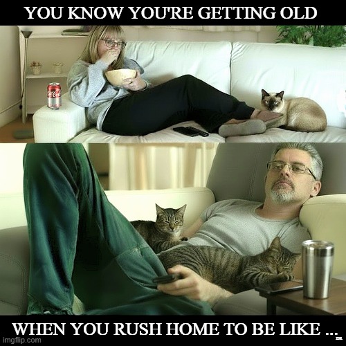 rush home | YOU KNOW YOU'RE GETTING OLD; WHEN YOU RUSH HOME TO BE LIKE ... DR | image tagged in funny memes,seniors,lazy,just chillin' | made w/ Imgflip meme maker