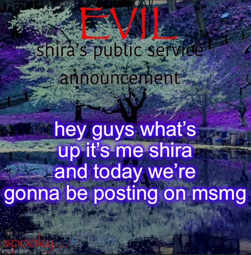 Shira temp | hey guys what’s up it’s me shira and today we’re gonna be posting on msmg | image tagged in shira temp | made w/ Imgflip meme maker