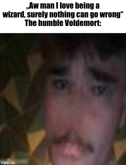Sname | „Aw man I love being a wizard, surely nothing can go wrong“
The humble Voldemort: | image tagged in sname | made w/ Imgflip meme maker