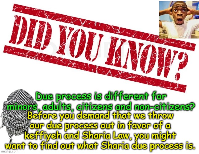 A Simple Suggestion For All The Woke Protesters | Due process is different for minors, adults, citizens and non-citizens? Before you demand that we throw our due process out in favor of a keffiyeh and Sharia Law, you might want to find out what Sharia due process is. | image tagged in did you know | made w/ Imgflip meme maker