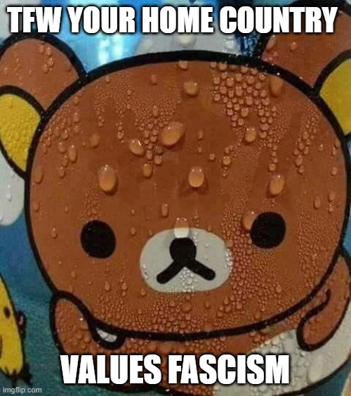 Sweat Bear | TFW YOUR HOME COUNTRY VALUES FASCISM | image tagged in sweat bear | made w/ Imgflip meme maker