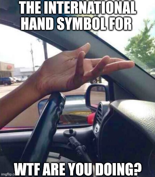 The International Hand Symbol For WTF Are You Doing? | THE INTERNATIONAL HAND SYMBOL FOR; WTF ARE YOU DOING? | image tagged in chris joines | made w/ Imgflip meme maker