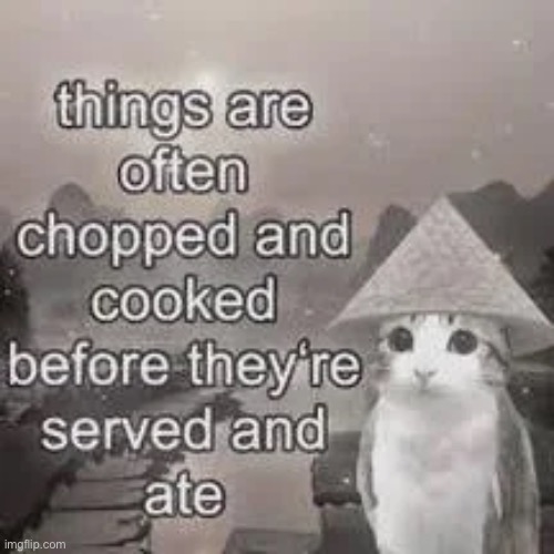 Wise Wunkus | image tagged in wunk,funny animals,memes,shitpost,philosophy | made w/ Imgflip meme maker