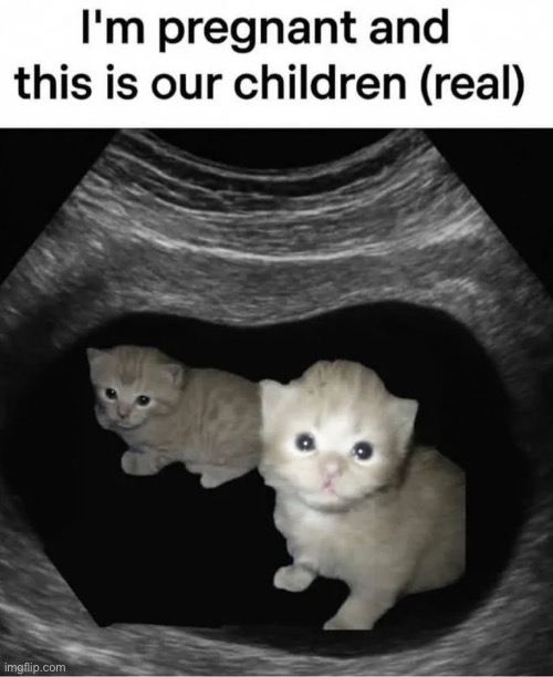 You're gonna be a wunker! | image tagged in memes,shitpost,this could be us,wunkus | made w/ Imgflip meme maker