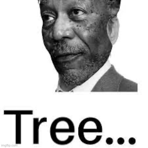 Morgan Freeman True | image tagged in morgan freeman true | made w/ Imgflip meme maker