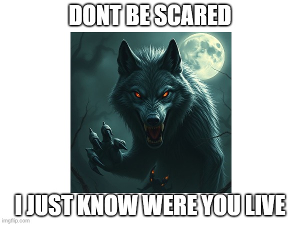 I wolf were you live | DONT BE SCARED; I JUST KNOW WERE YOU LIVE | image tagged in memes | made w/ Imgflip meme maker