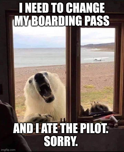 Bears gotta fly | I NEED TO CHANGE MY BOARDING PASS; AND I ATE THE PILOT. 
SORRY. | image tagged in polar bear visit,alaska airlines,memes,oops,northern problems,boarding pass | made w/ Imgflip meme maker