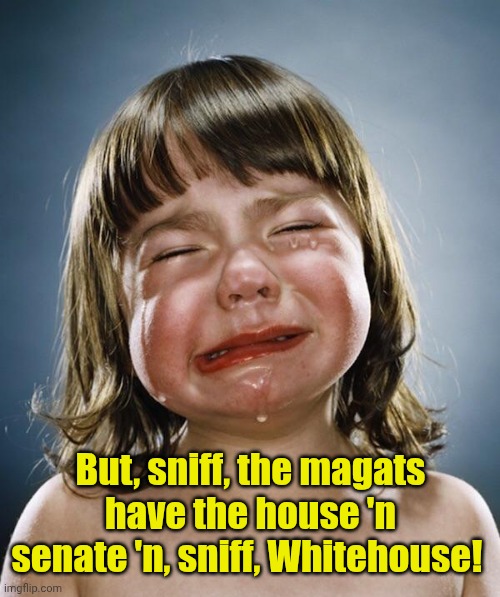 Crybaby | But, sniff, the magats have the house 'n senate 'n, sniff, Whitehouse! | image tagged in crybaby | made w/ Imgflip meme maker