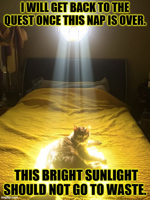 Questing Cat | I WILL GET BACK TO THE QUEST ONCE THIS NAP IS OVER. THIS BRIGHT SUNLIGHT SHOULD NOT GO TO WASTE. | image tagged in chosen one cat | made w/ Imgflip meme maker