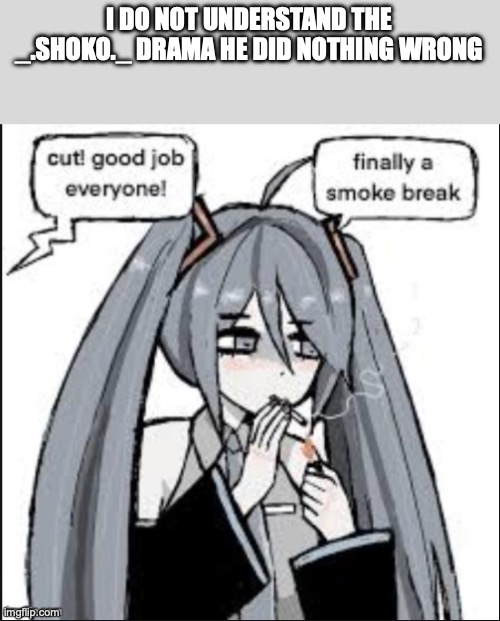Finally a Smoke Break | I DO NOT UNDERSTAND THE _.SHOKO._ DRAMA HE DID NOTHING WRONG | image tagged in finally a smoke break | made w/ Imgflip meme maker