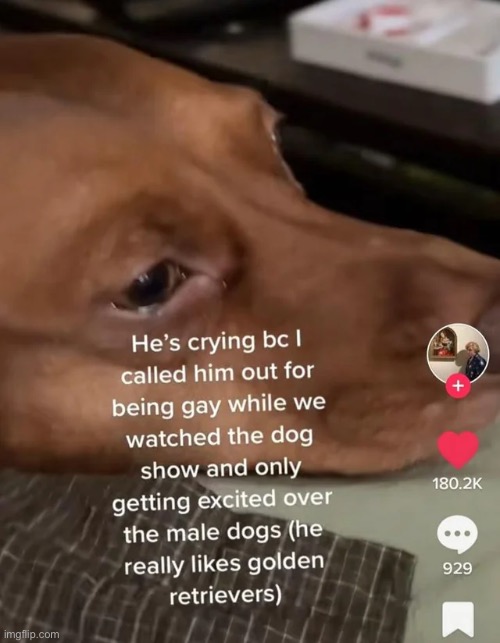 . | made w/ Imgflip meme maker