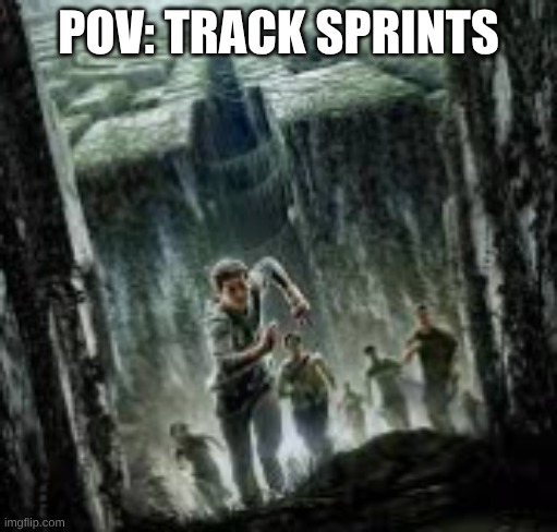 It be true | POV: TRACK SPRINTS | image tagged in maze runner | made w/ Imgflip meme maker