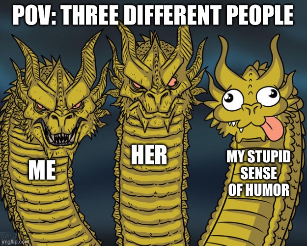 Three-headed Dragon | POV: THREE DIFFERENT PEOPLE; HER; MY STUPID SENSE OF HUMOR; ME | image tagged in three-headed dragon | made w/ Imgflip meme maker